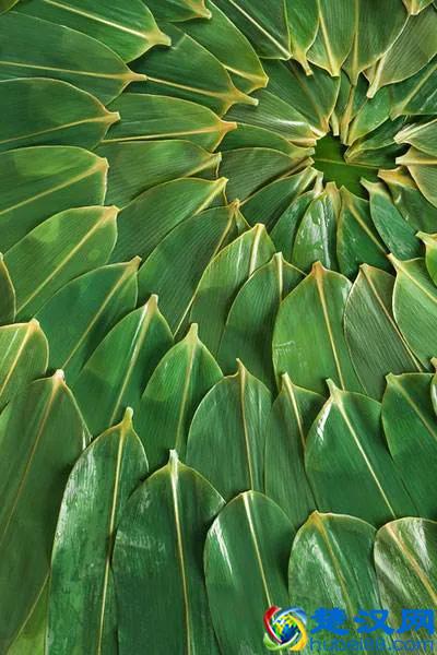 粽子叶分为哪几种？