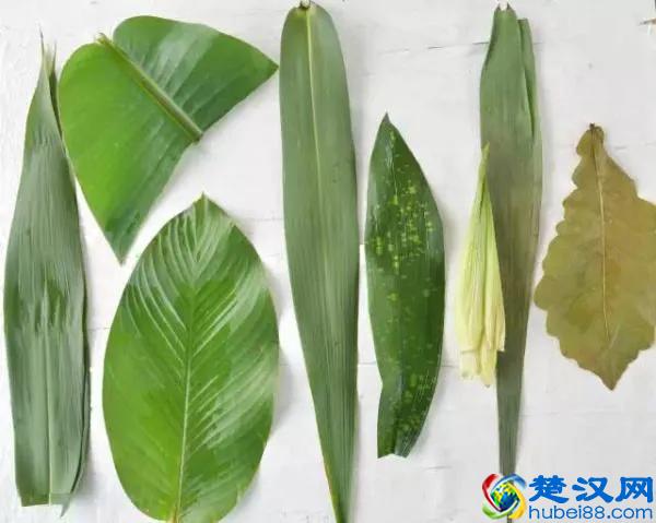 粽子叶分为哪几种？