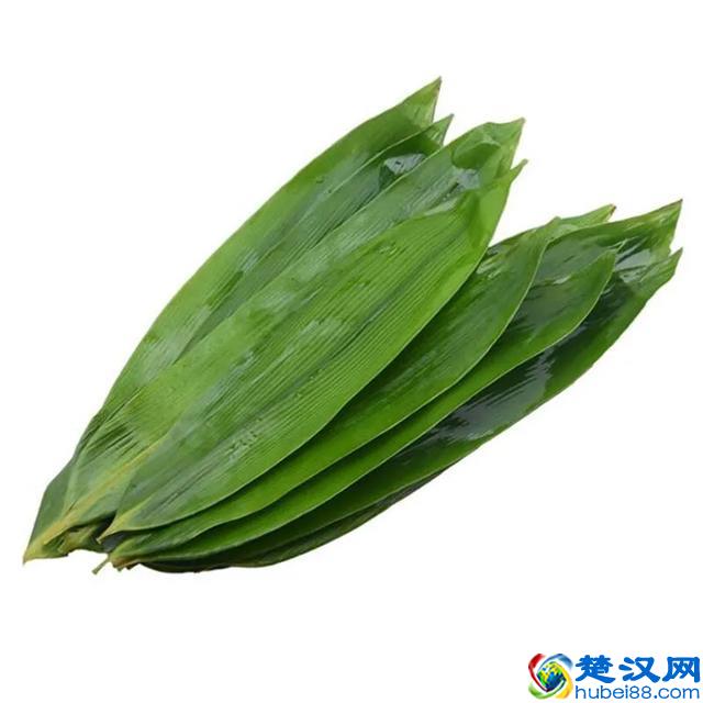 粽子叶分为哪几种？