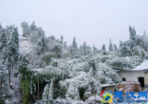 科普：到底什么是冻雨？为什么它可怕？