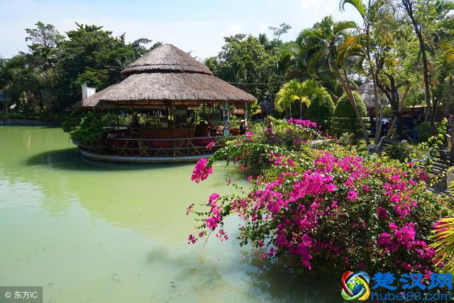 什么是数轴，学好数轴知识有什么用，就让我告诉你