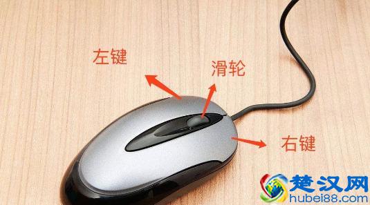 新手学电脑，该从何学起？