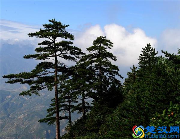 五岳中最不起眼的一座山——北岳恒山 你去过吗？