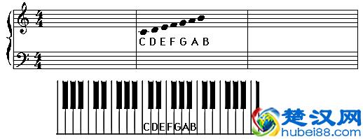 三分钟学会看键盘，教你看懂钢琴五线谱