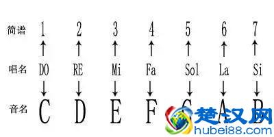 三分钟学会看键盘，教你看懂钢琴五线谱