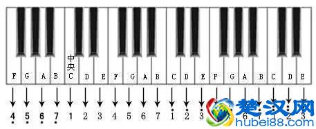 三分钟学会看键盘，教你看懂钢琴五线谱