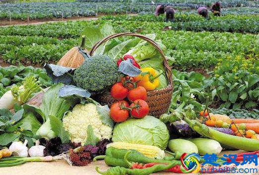 孩子怎么长高？你想不到的长高方法都在这了！