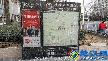 终于曝光了！万寿路的乌鸦战斗力太强了！