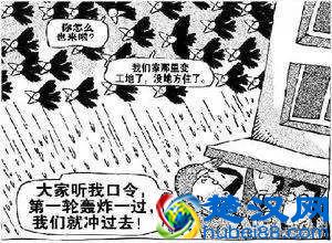 终于曝光了！万寿路的乌鸦战斗力太强了！