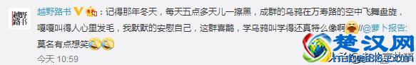 终于曝光了！万寿路的乌鸦战斗力太强了！