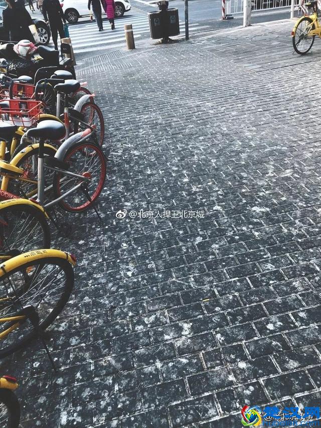 终于曝光了！万寿路的乌鸦战斗力太强了！