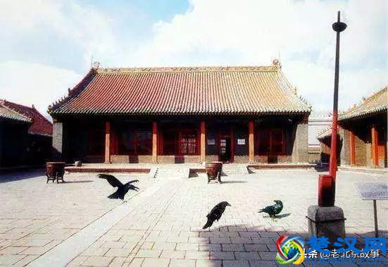 终于曝光了！万寿路的乌鸦战斗力太强了！