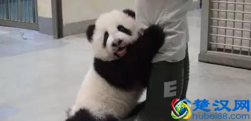 微信微博和Facebook，国内外人发的朋友圈有什么不同？