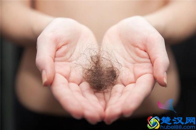 "鬼剃头"究竟是怎么回事？如何抓住这个"鬼"？答案都在这