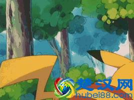 "鬼剃头"究竟是怎么回事？如何抓住这个"鬼"？答案都在这