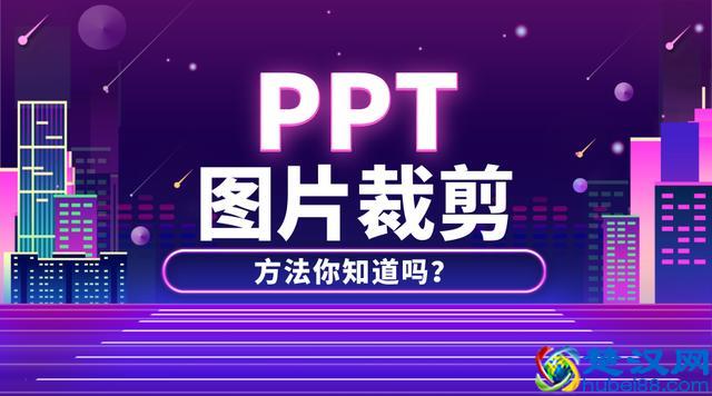 做PPT图片只是简单插入？这个实用技巧才是正确的图片处理方法！