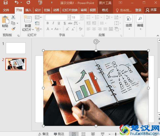 做PPT图片只是简单插入？这个实用技巧才是正确的图片处理方法！