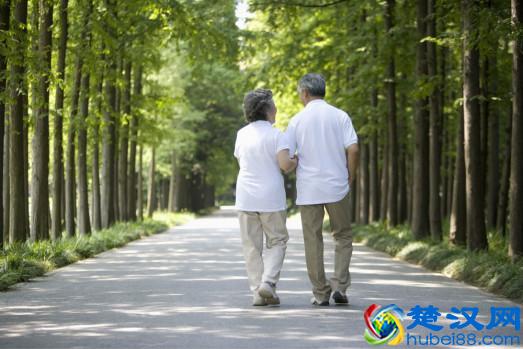 年轻人记性差，这是什么原因？