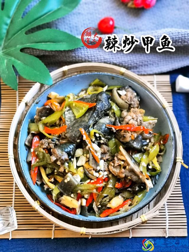 怎么宰杀甲鱼才正确？教你“5个关键”，做好美味甲鱼其实很简单