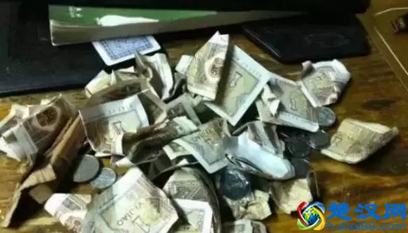 冻品人告诉你，卖一件货能赚多少钱？