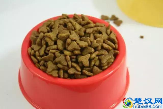 宠物店都卖些什么？最全的宠物店功能介绍