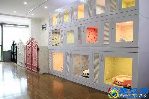 宠物店都卖些什么？最全的宠物店功能介绍