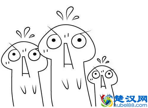 你穿什么袜子跑步？穿对了袜子，PB来得更快