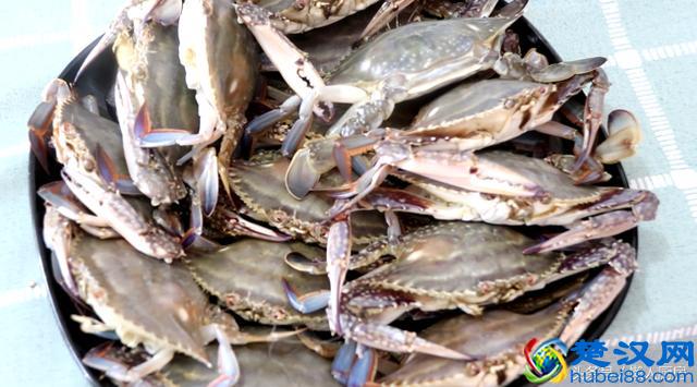 自制海鲜大咖，用麻辣鲜香的火锅底料做太给力，吃得酣畅淋漓