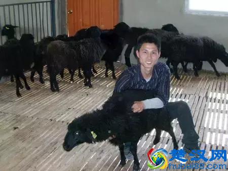 在农村投资小，收益高的养殖项目有哪些？