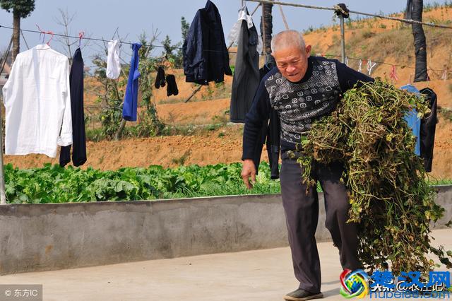 2019年干什么最赚钱？农村8个好的商机不要错过！