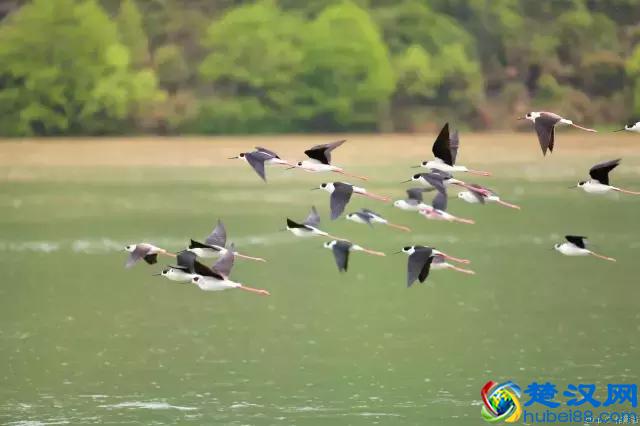 杭州哪里最好玩？这10大景点你应该知道！