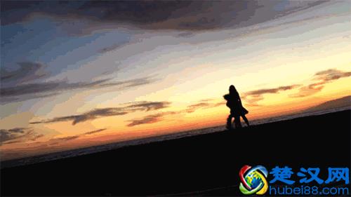 一组创意的情人节海报文案