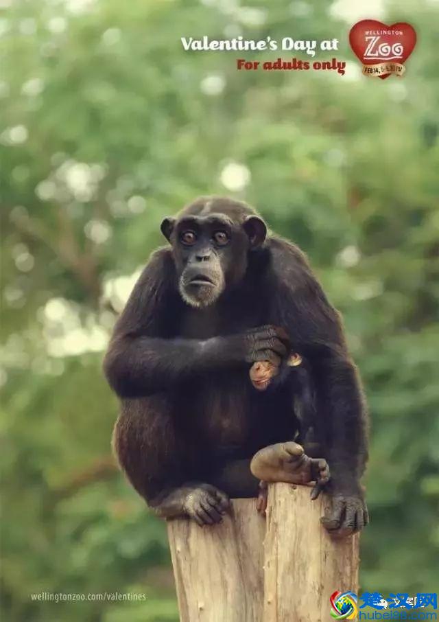 一组创意的情人节海报文案