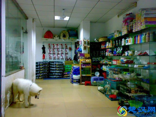 开始创业，小本生意做什么好，捞钱最快的5个创业小项目