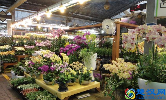 开始创业，小本生意做什么好，捞钱最快的5个创业小项目