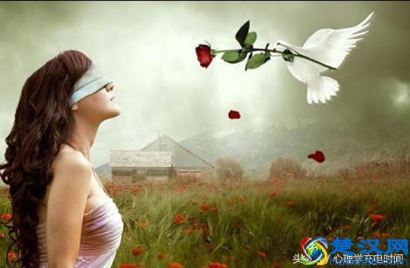 心理学效应-----晕轮效应