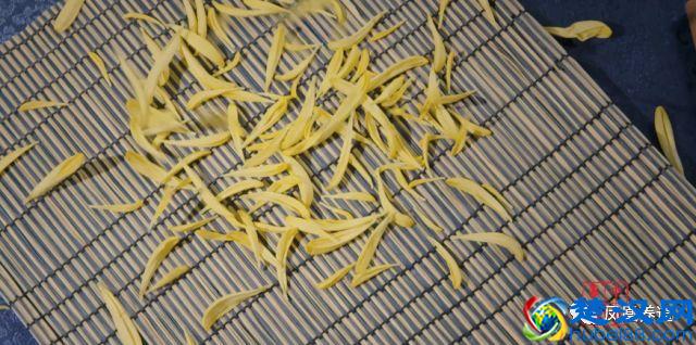 送你一份返老还童的秘笈