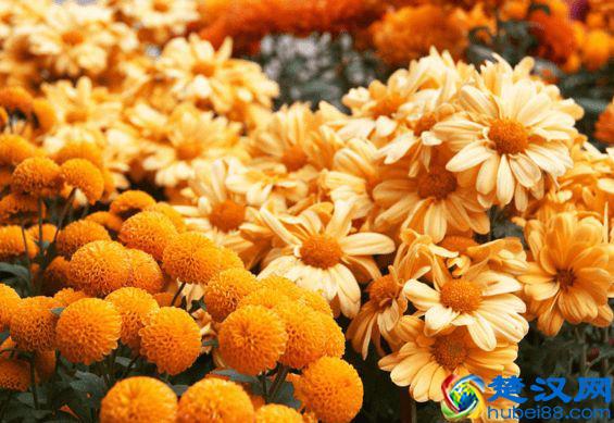 实用的英语单词记忆方法