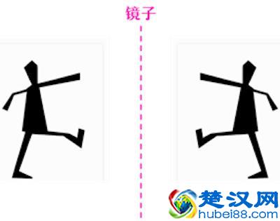 这几个科学小制作让娃边玩边学