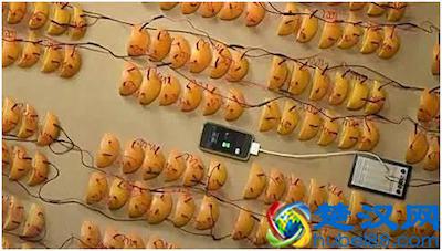 这几个科学小制作让娃边玩边学