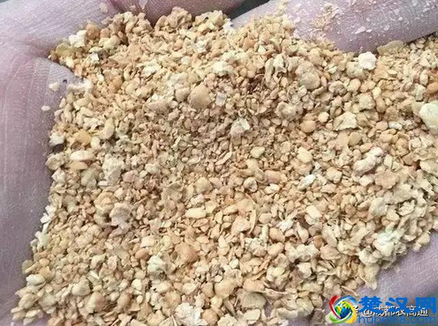 土鸡养殖技术！只需要知道这两点，你就是高手！