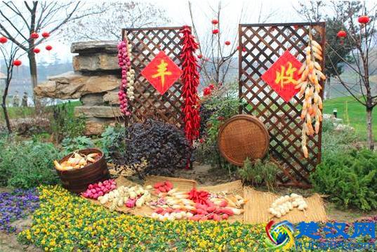 五谷丰登中的“五谷”指什么