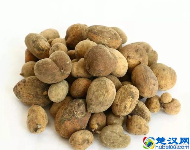 水产养殖中，常用杀真菌药物有哪些