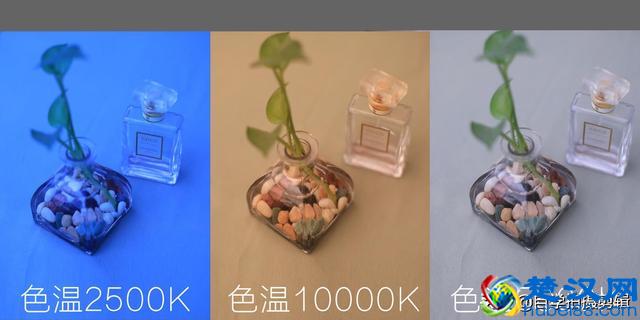 色温和白平衡是什么意思？拍视频不能忽略这2个相机参数！