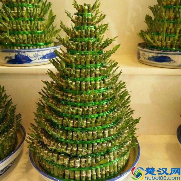 亲朋好友“乔迁新居”，送这3种花，寓意：平安、富贵！