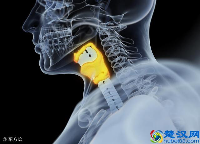 原发性高血压跟继发性高血压的病因一样吗？分别是什么？