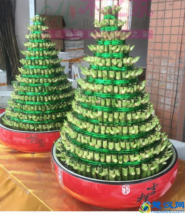 亲朋好友“乔迁新居”，送这3种花，寓意：平安、富贵！