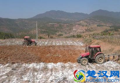 土壤撒生石灰是为了什么？