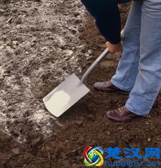 土壤撒生石灰是为了什么？