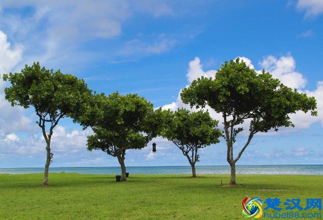 2019年夏天什么时候入伏  从7月12日开始